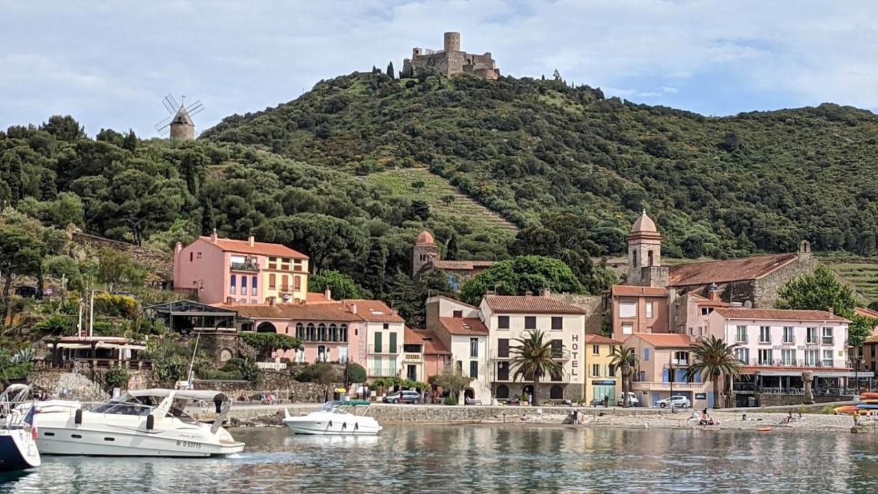 T3bis Résidence Presqu'île de la Lagune Saint-Cyprien  Exterior foto