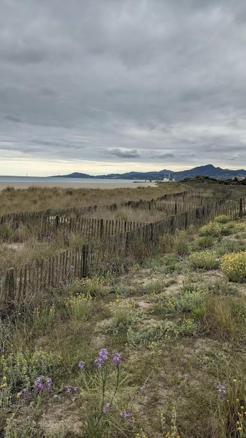 T3bis Résidence Presqu'île de la Lagune Saint-Cyprien  Exterior foto