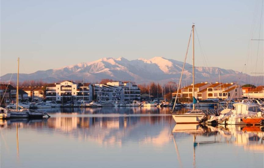T3bis Résidence Presqu'île de la Lagune Saint-Cyprien  Exterior foto