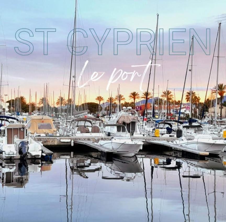 T3bis Résidence Presqu'île de la Lagune Saint-Cyprien  Exterior foto